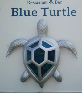 Blue Turtle